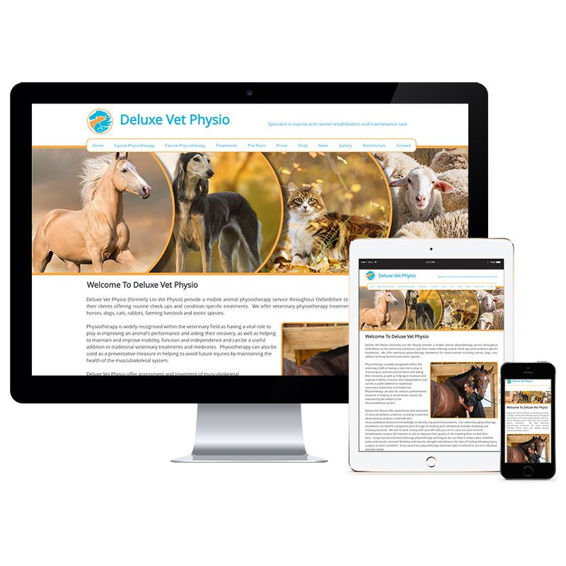 Website Design for Deluxe Vet Physio