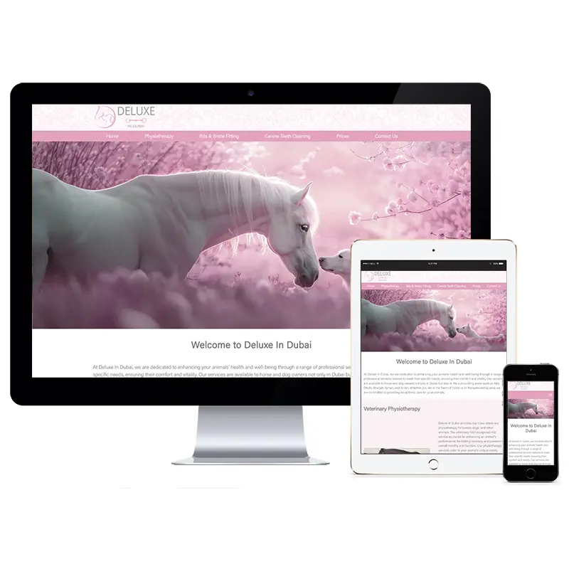 Website Design for Deluxe In Dubai