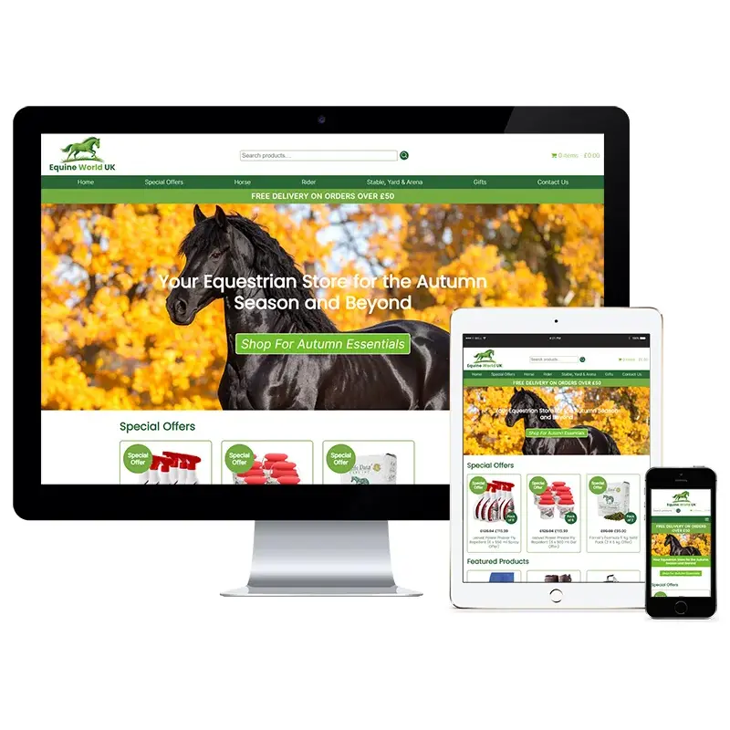 custom website design for equine world uk