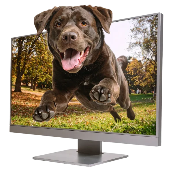 Dog Business Web Design